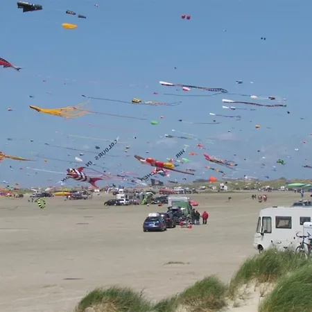 Iliane - 100m From The Sea By Interhome Apartment *