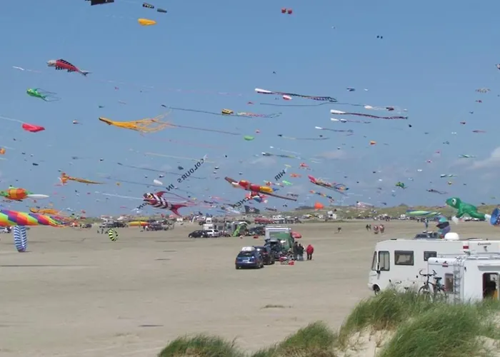 Iliane - 100m From The Sea By Interhome Apartment *